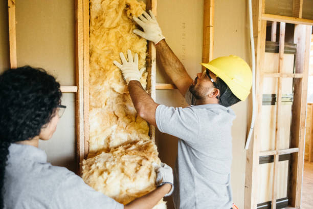 Best Cellulose Insulation  in Binghamton, NY