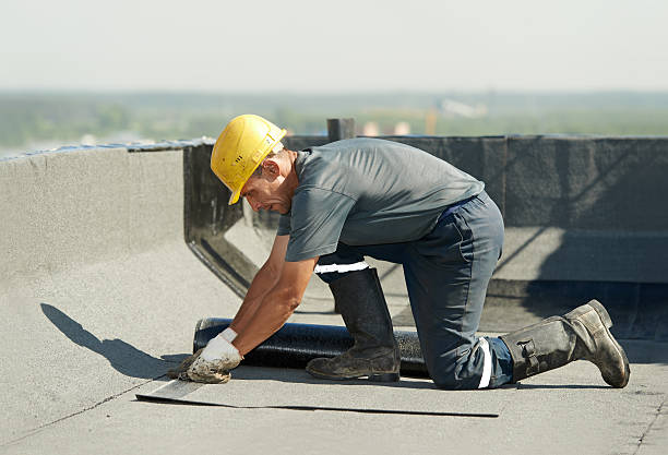 Best Best Insulation Companies  in Binghamton, NY