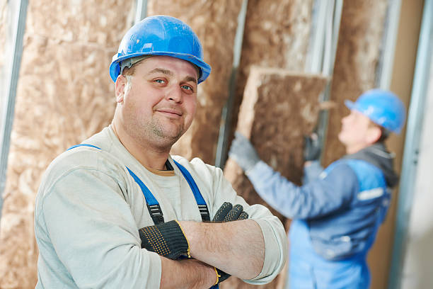 Best Fiberglass Insulation  in Binghamton, NY