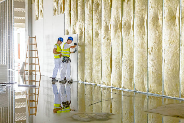 Best Local Insulation Services  in Binghamton, NY